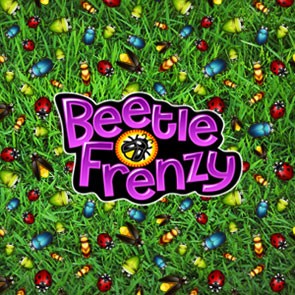 Beetle Frenzy