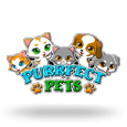 purrfect pets1561621763